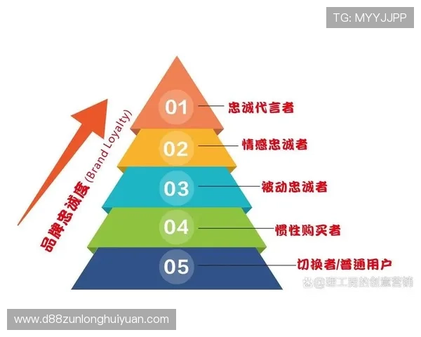 探索d88尊龙集团的品牌价值与用户忠诚度关联