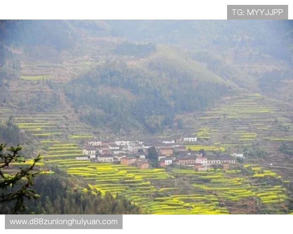 揭开d8娱乐官网的奖金机制，教您如何提高赢利的机会
