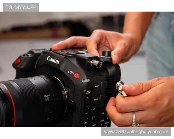 Z6尊龙官网登录指南详解，详细步骤帮助新手快速注册登录，轻松开启尊龙游戏的精彩冒险之旅