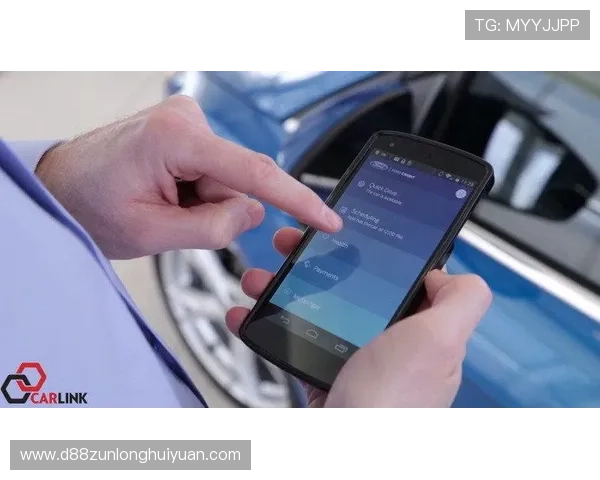 Z6平台的未来发展趋势与创新功能探索引领游戏行业新方向