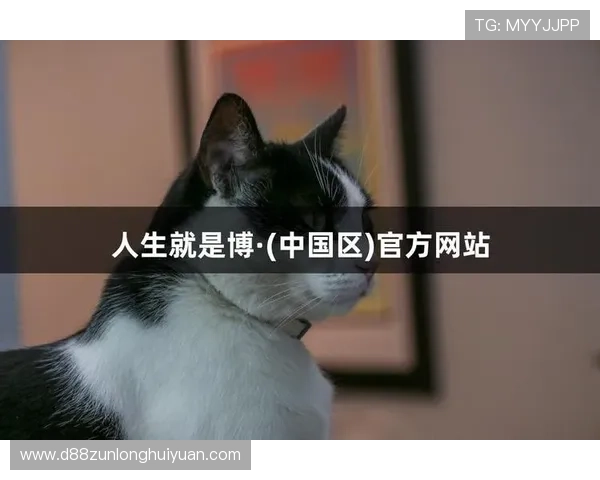 凯时尊龙人生就是博-活动时间安排，掌握活动节点不遗漏每一次精彩奖励机会