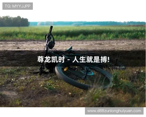 尊龙凯时人生就是博· 中国：深度解析中国玩家的游戏人生与成功之路