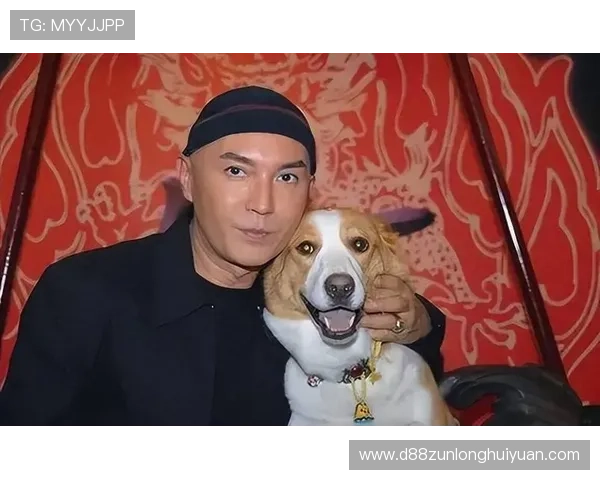 尊龙时凯人生就是博官网登录：官网登录流程优化建议，提升用户体验的实用措施