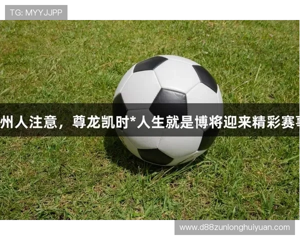 凯时尊龙人生就是博-游戏分析不同游戏类型的盈利技巧和风险控制方法
